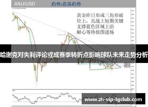 哈谢克对失利评论或成赛季转折点影响球队未来走势分析