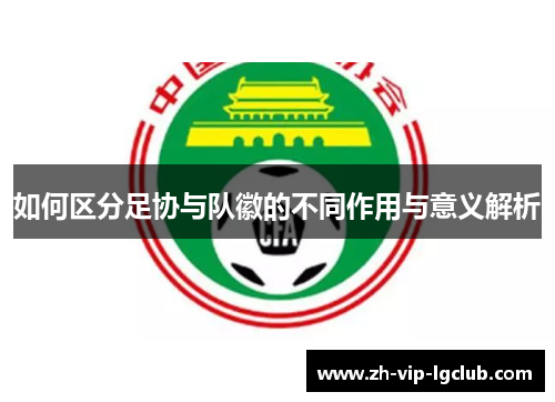 如何区分足协与队徽的不同作用与意义解析