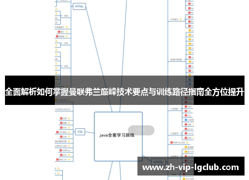 全面解析如何掌握曼联弗兰巅峰技术要点与训练路径指南全方位提升