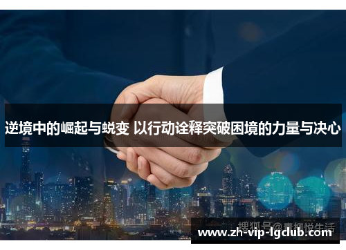 逆境中的崛起与蜕变 以行动诠释突破困境的力量与决心